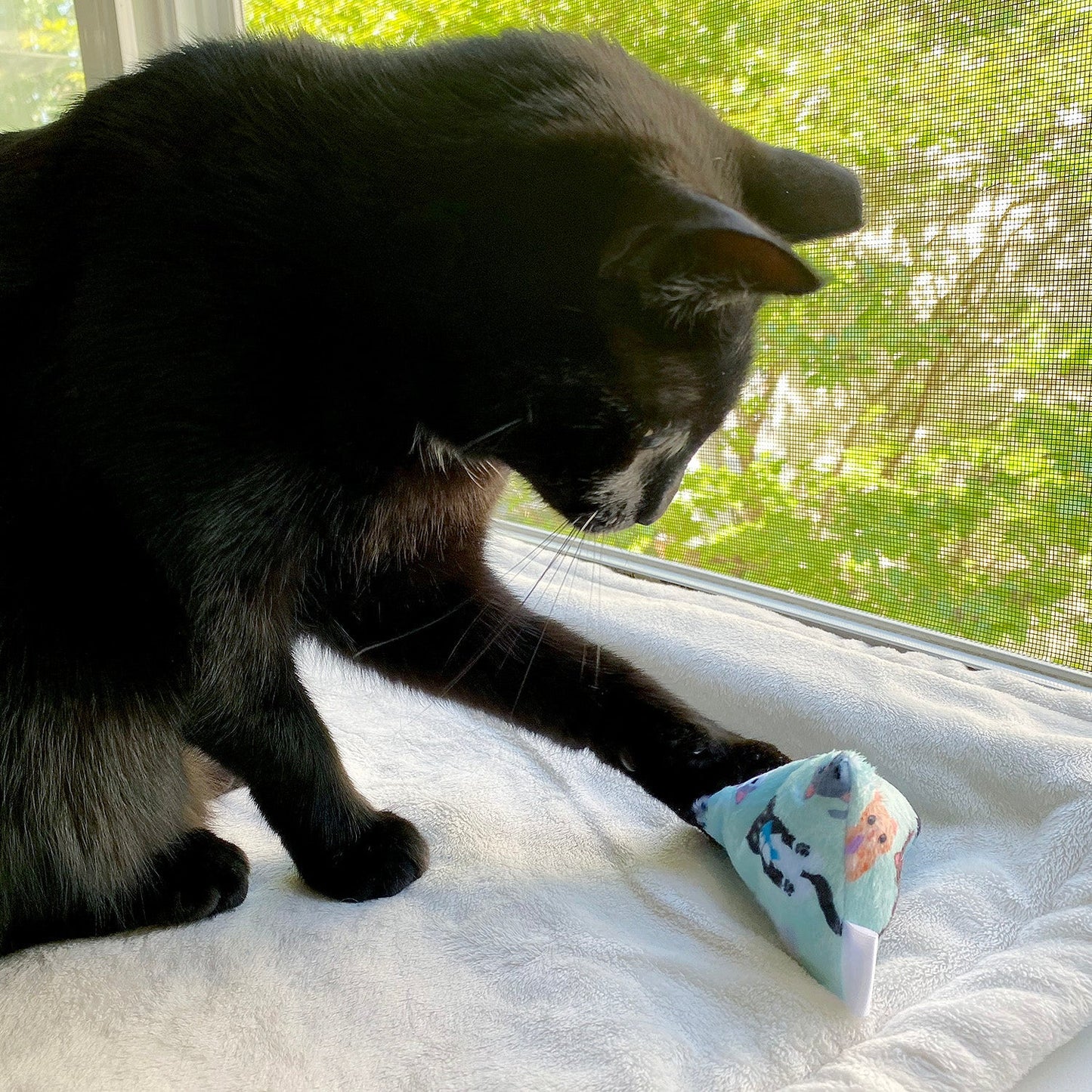 Jingle Pouncers Cat Toys