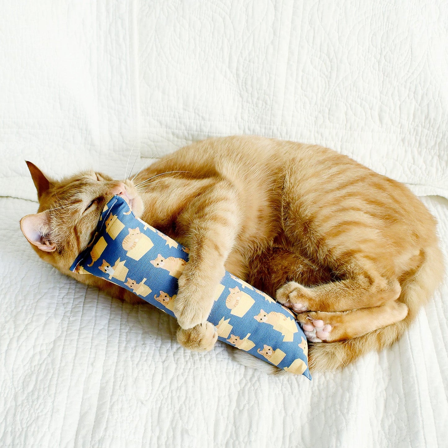 Orange Cats in Boxes Kicker Cat Toy - Blue