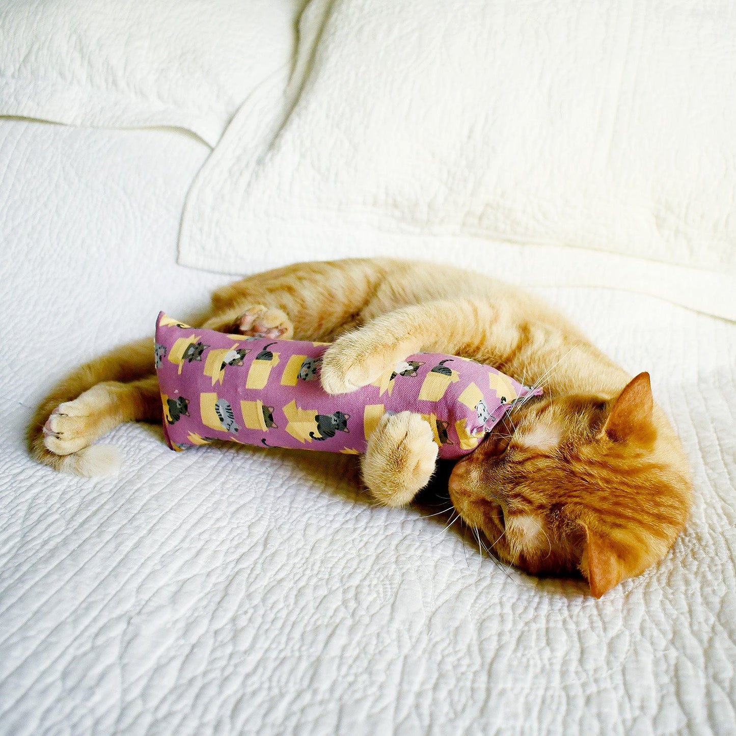 Tabby Cats in Boxes Kicker Cat Toy - Lilac