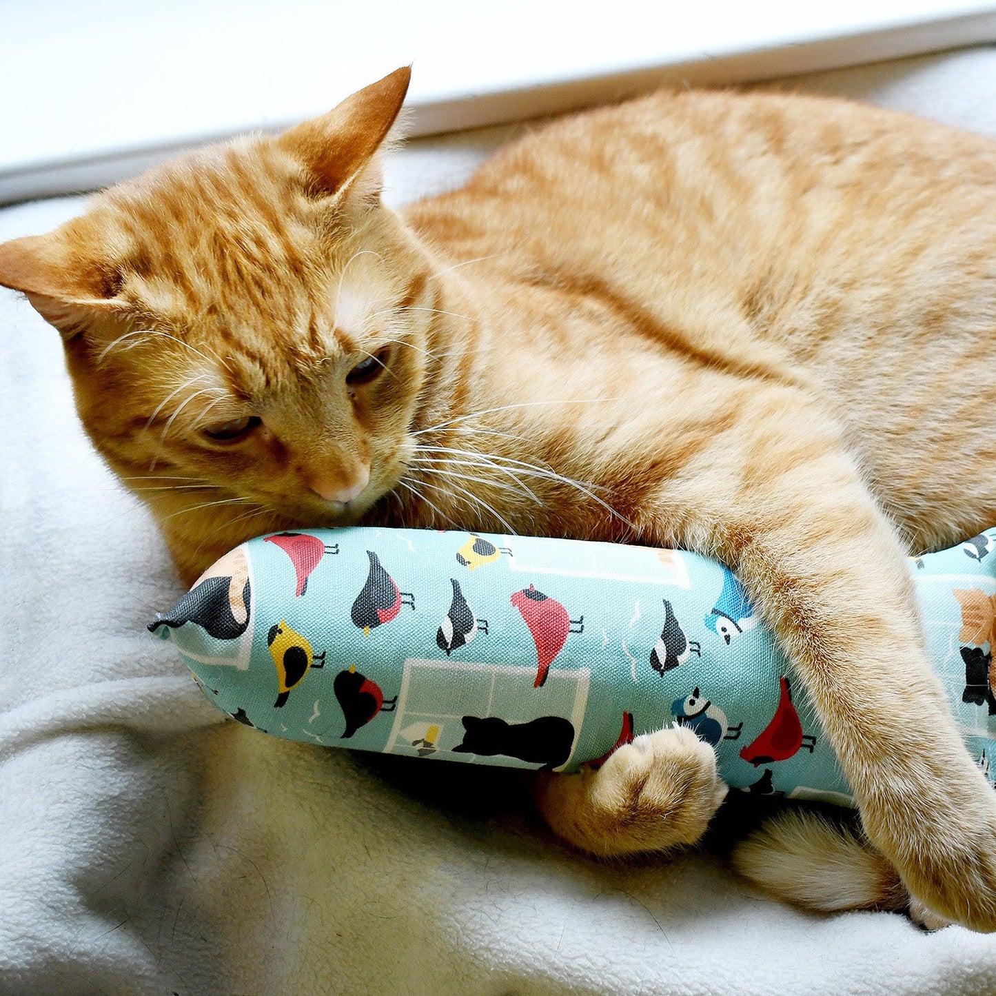 Bird-watching Kicker Cat Toy