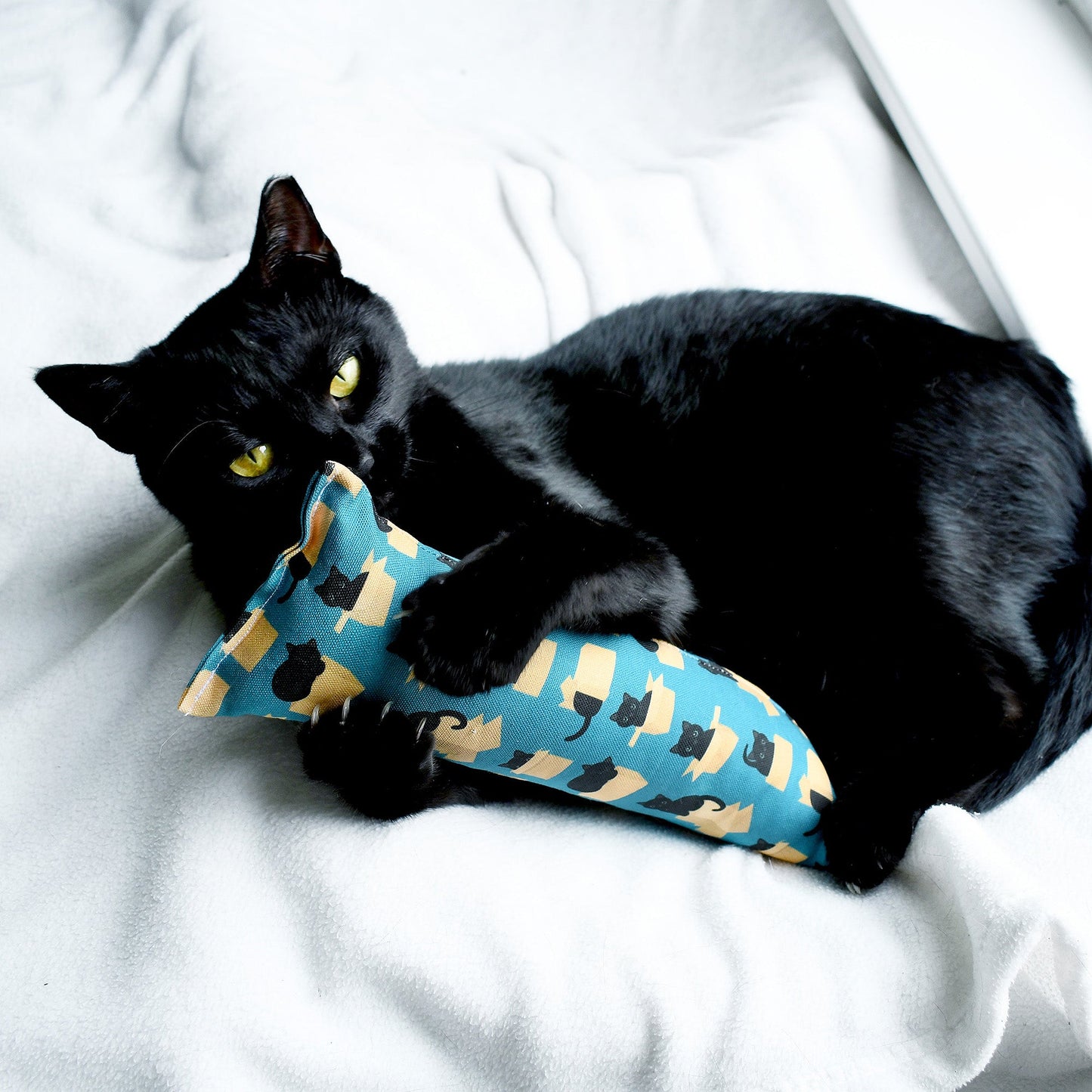 Black Cats in Boxes Kicker Cat Toy - Teal